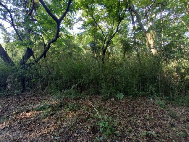 板戸町　土地の外観