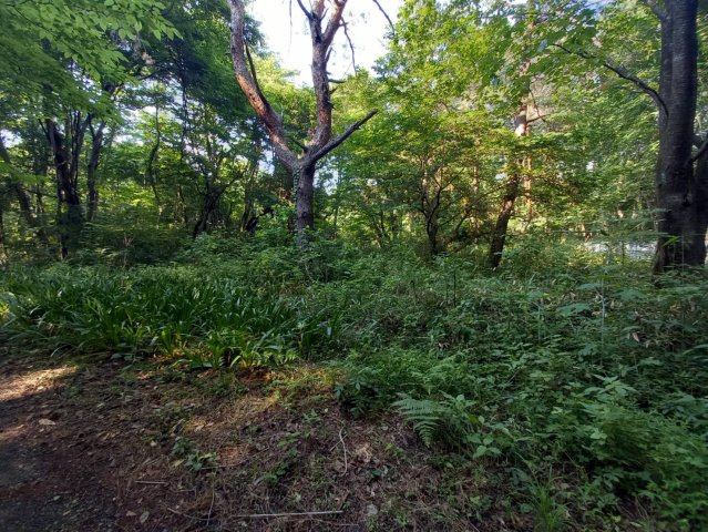 板戸町　土地の外観