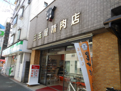 【周辺】 | 東雪谷３丁目戸建