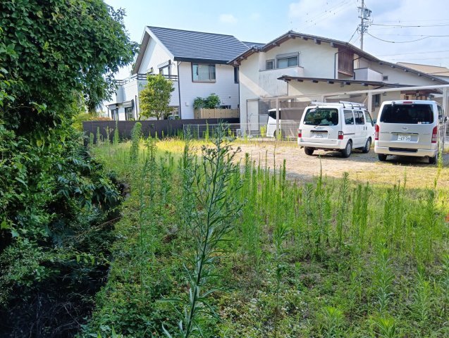 井田町字茨坪の展望