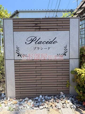 プラシードのその他
