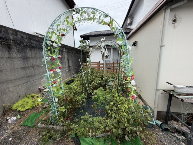 佐伯市鶴見 ５DK 中古一戸建ての庭
