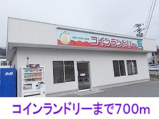 クッサン・ド・リヨンＡの周辺|コインランドリーまで700m