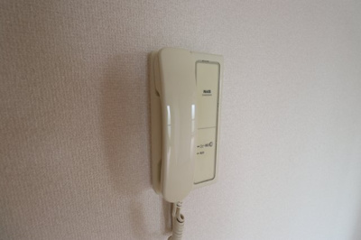 【セキュリティ】 | ラピスたけ