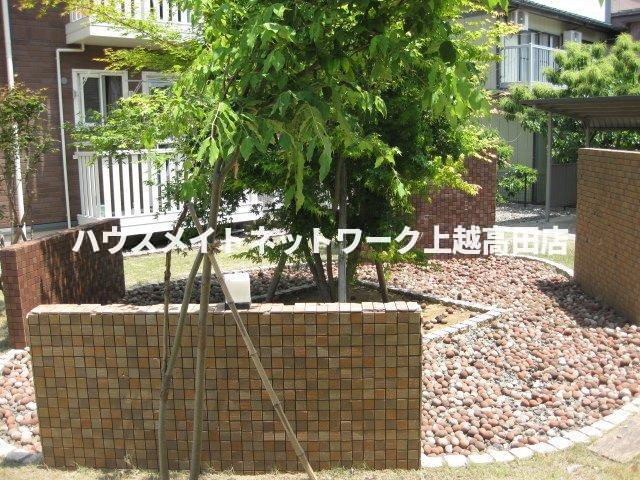 ロイヤルガーデン南城　D棟の展望|敷地内共有部の植栽