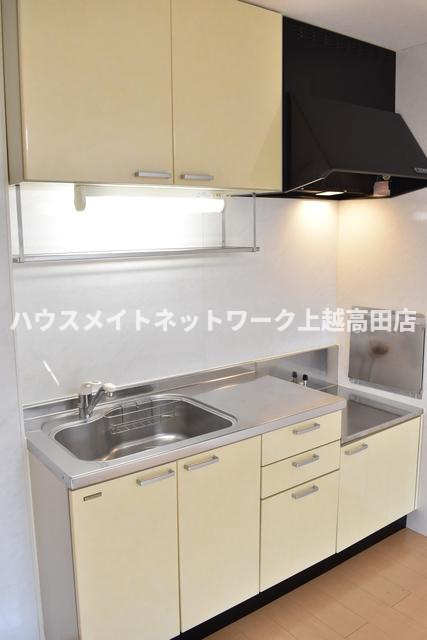ロイヤルガーデン南城　D棟のキッチン|キッチン