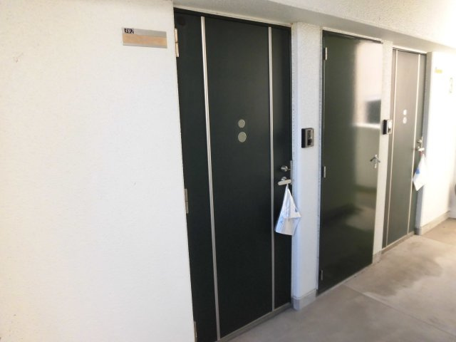 熊本市中央区九品寺１丁目の賃貸マンションのエントランス|毎日通る玄関はこちらです