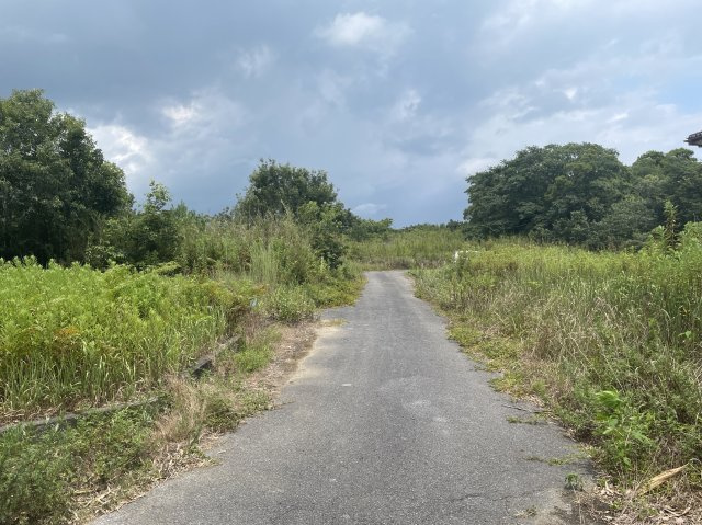 【前面道路含む現地写真】 | 山武市上横地　土地