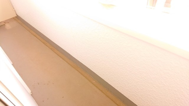 レオパレスラウムふじみ野のその他
