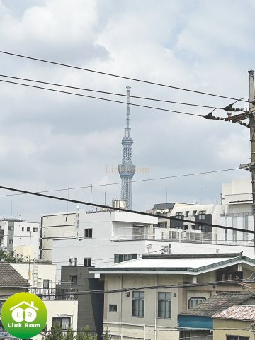椿（TSUBAKI)のその他