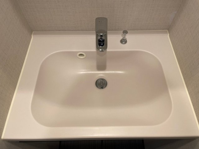 DIPS亀有駅前の独立洗面台