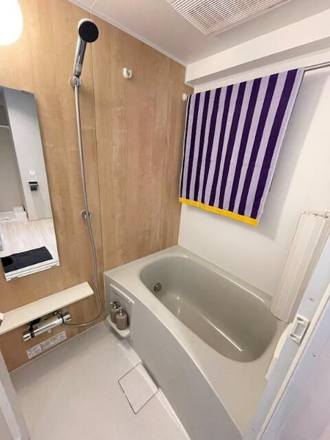 ディアレイシャス錦糸町の浴室