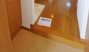 リンクス成増の玄関|※別部屋参考写真