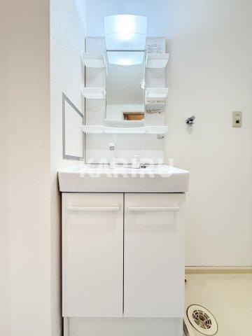 Ｏｗｌｅｔ諸口　３０３の洗面所
