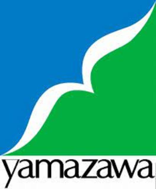 フローラ福住町の周辺|ヤマザワ田子店