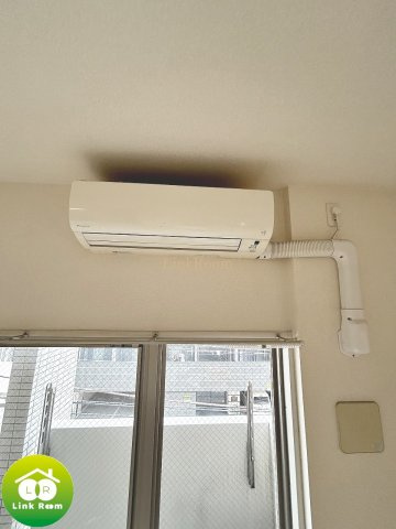 椿（TSUBAKI)のその他