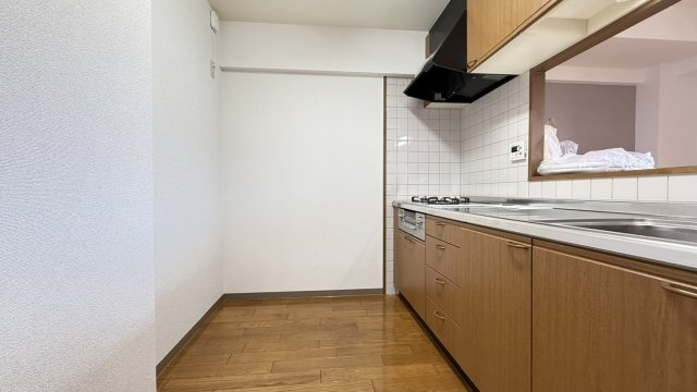 ボシュケ篠原のその他
