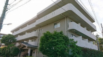 高砂桜㐂の画像