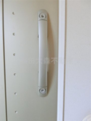 レックス多摩川レジデンスの玄関