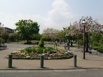 メゾンド代沢のその他|目の前にはせせらぎ公園