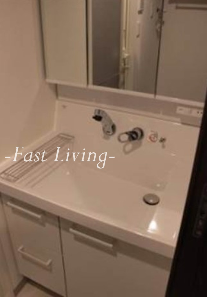 グランツルクサス神田の洗面所