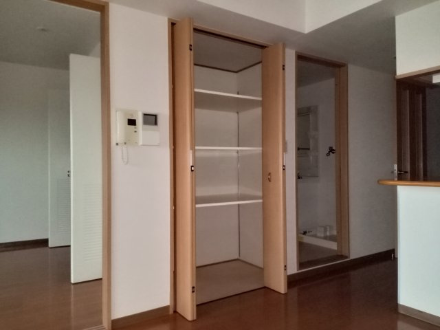 川崎市多摩区中野島６丁目の賃貸マンションの収納