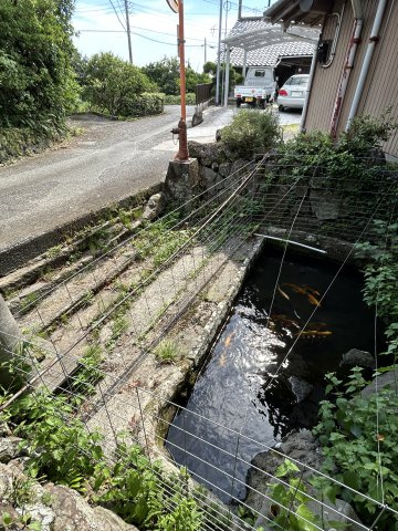 伊豆市　小下田の周辺