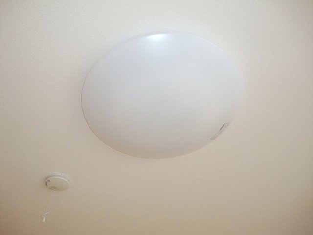 Ｃａｍｅｒａ　Ｆｅｌｉｃｅのその他|照明