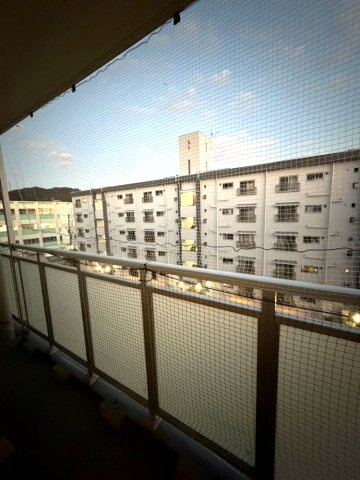 渦ヶ森コーポ6号館のその他|現在バルコニーに鳥用ネットを張っています。