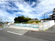 オースターカレンデュラの画像