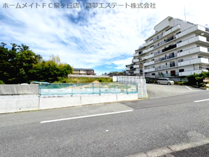 オースターカレンデュラの外観