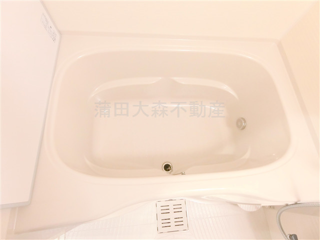 The Aigrette Minami-Kamataジ・エグレットミナミカマタ@仲介手数料無料の浴室