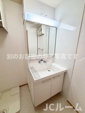 ロジュマン シュシュ Aの洗面所