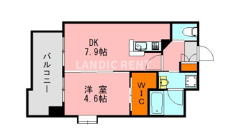 【間取り】 | アソシアグロッツォ日赤通り