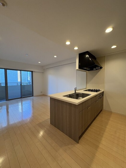 江東区豊洲３丁目の賃貸マンションのその他|キッチン