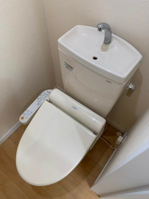 参考写真