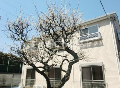 【外観】 | ラムジーク三軒茶屋