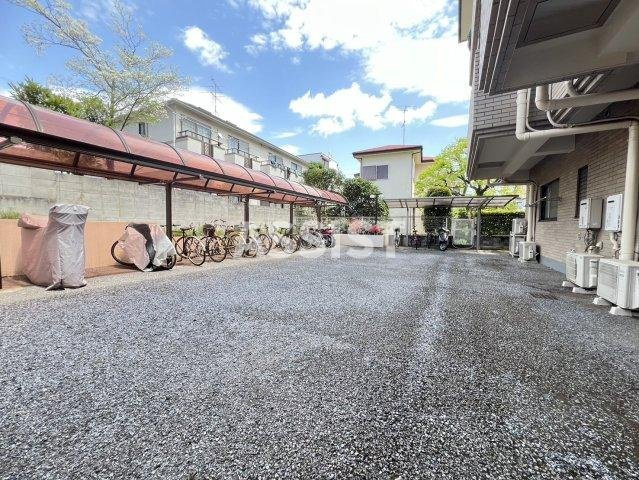 アフロヴィーナのその他