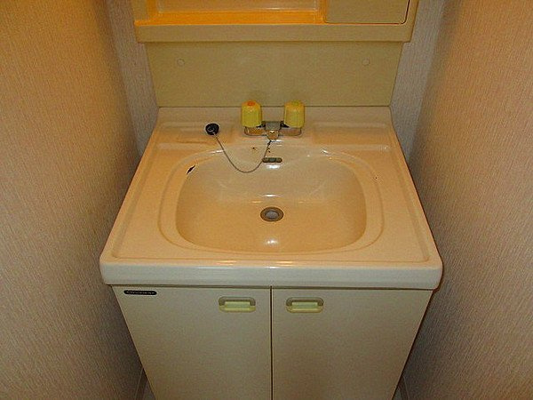 グリーンノート青谷の洗面所