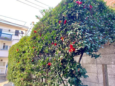 【その他】 | グリーンヒル