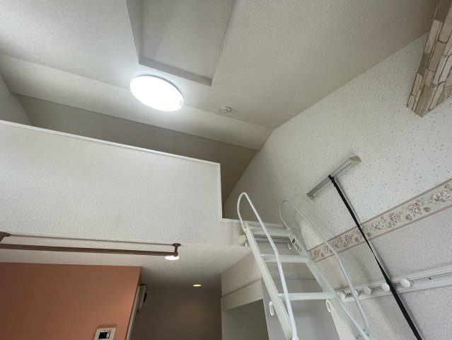 ユナイト反町モナリザのその他