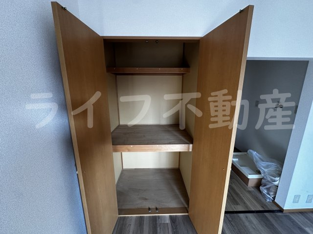 メゾンクリサンテームの収納|大きなものも収納できそうです