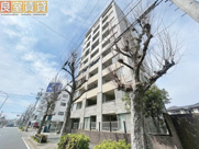 OSMANTHUS　FRAGRANSの画像