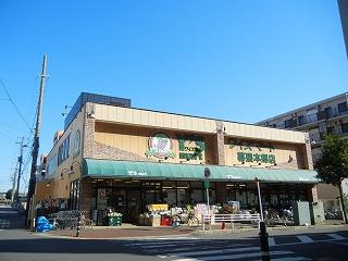 金太郎ヒルズ７０　３０５の周辺|ワイズマート幕張本郷店まで178m