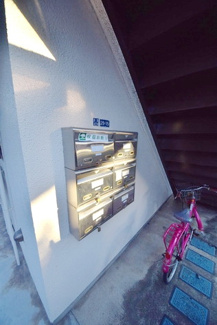 【その他】リゾーシモ