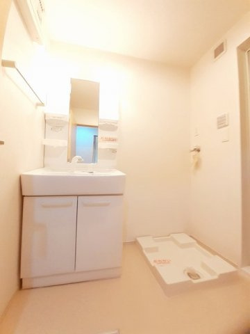 メゾンシュクレⅡの洗面所