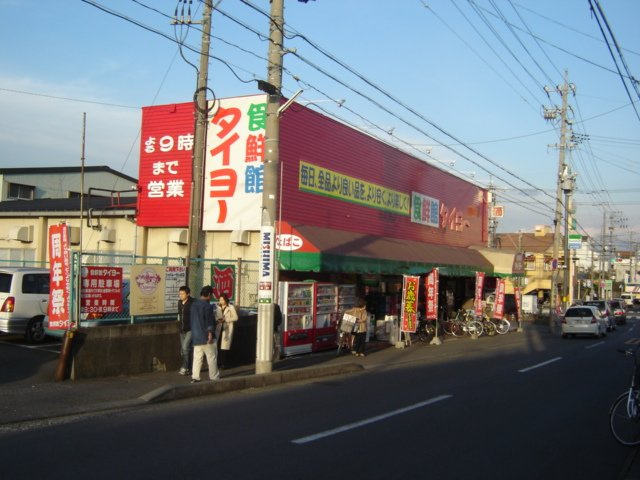 メゾン・ド・ソフィアの周辺|食鮮館タイヨー岡店まで339ｍ