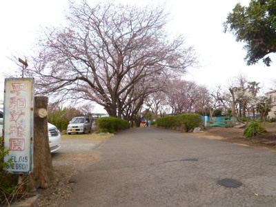 平和幼稚園まで850ｍ