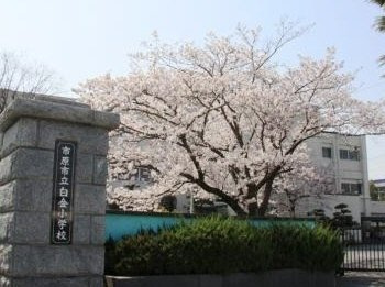 ベル・ヴィールの周辺|市原市立白金小学校まで1,544ｍ
