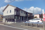 Ｆｏｒｅ　Ｃａｓｔｌｅ　５の画像